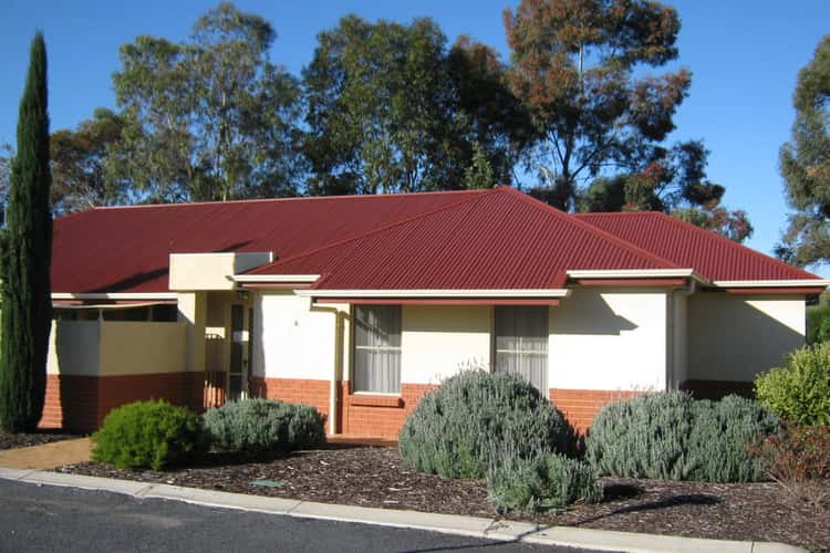 Main view of Homely house listing, 6/42 Pigeon Flat Road, Bordertown SA 5268