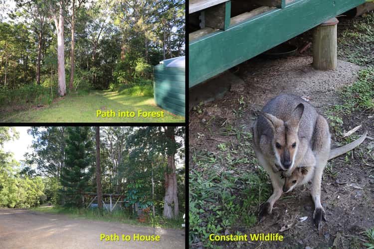 Third view of Homely house listing, 7/1157 Stony Chute Road, Nimbin NSW 2480