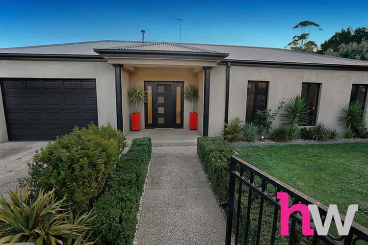 Main view of Homely house listing, 51 Calder Street, Manifold Heights VIC 3218