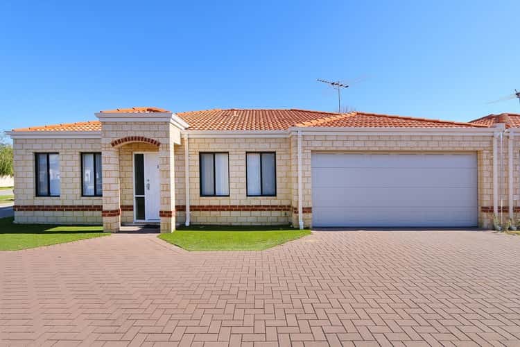 Main view of Homely villa listing, 11/7 Acton Avenue, Bentley WA 6102