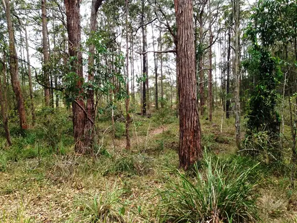 Second view of Homely rural property listing, Lot 5 Sec 8 Breckenridge St, The Branch NSW 2425