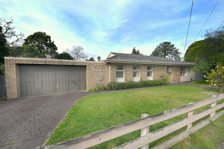 Main view of Homely house listing, 61 Tamar Street, Bayswater VIC 3153