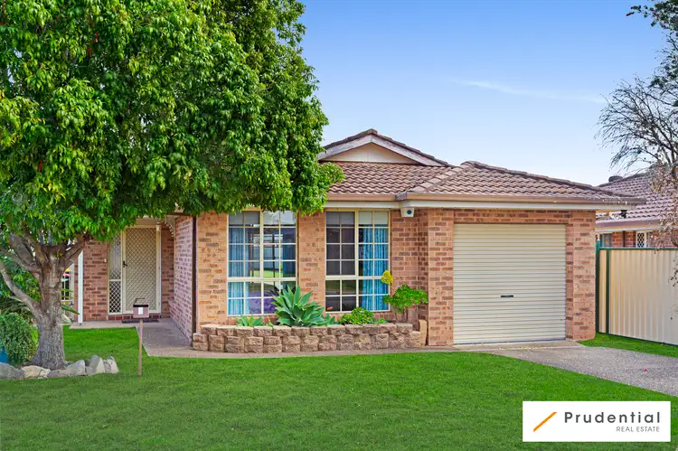 Main view of Homely house listing, 6 Poppy Place, Macquarie Fields NSW 2564
