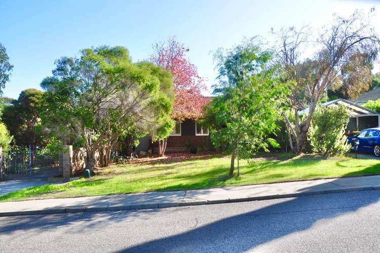 Main view of Homely house listing, 24 Halstead Street, Hamilton Hill WA 6163