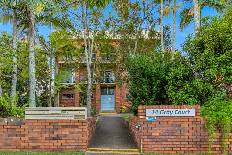 Main view of Homely unit listing, 6/14 Gray Avenue, Corinda QLD 4075
