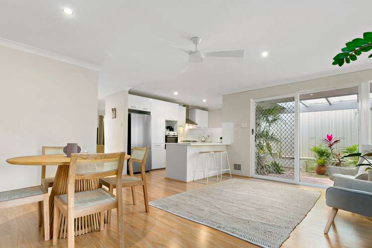 Main view of Homely house listing, 1/75 Millcrest Street, Scarborough WA 6019