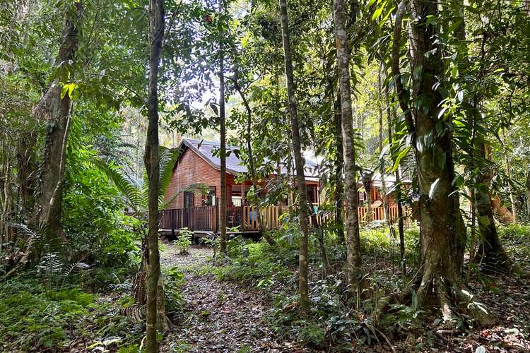 Main view of Homely house listing, Lot 460 Black Bean Road, Daintree QLD 4873