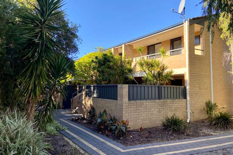 Main view of Homely apartment listing, 9/339 Stirling St, Highgate WA 6003