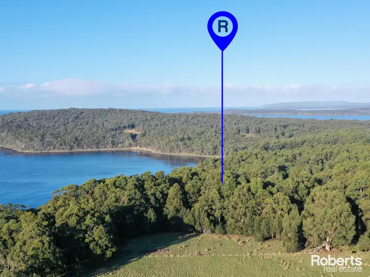 Main view of Homely rural property listing, Lot 1 Lady Bay Road, Southport TAS 7109