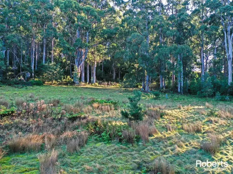 Fourth view of Homely rural property listing, Lot 1 Lady Bay Road, Southport TAS 7109