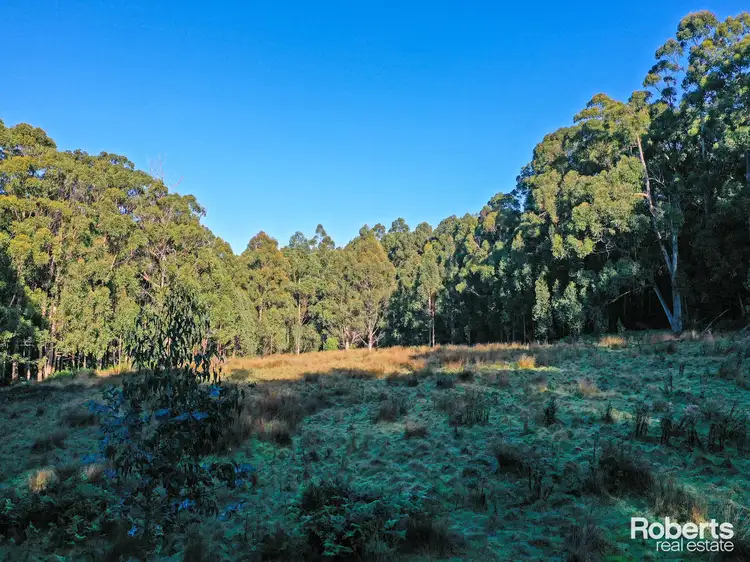 Fifth view of Homely rural property listing, Lot 1 Lady Bay Road, Southport TAS 7109