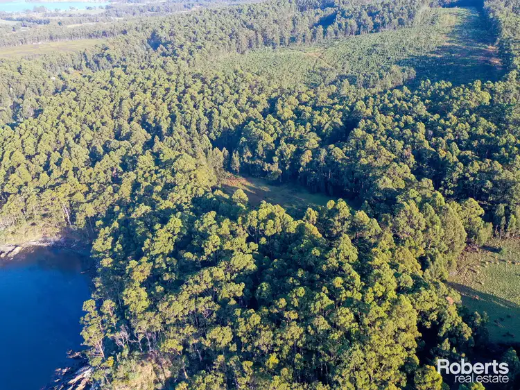 Sixth view of Homely rural property listing, Lot 1 Lady Bay Road, Southport TAS 7109