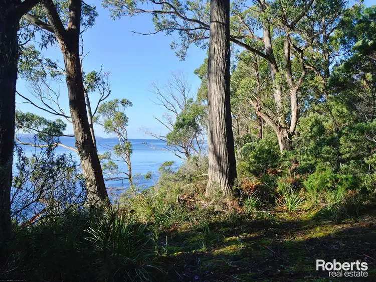 Seventh view of Homely rural property listing, Lot 1 Lady Bay Road, Southport TAS 7109