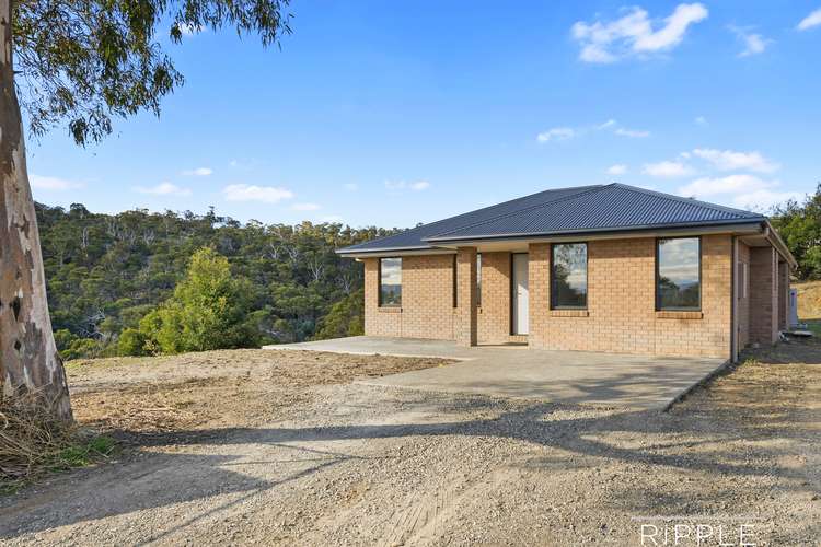 115 Braeview Drive, Old Beach TAS 7017