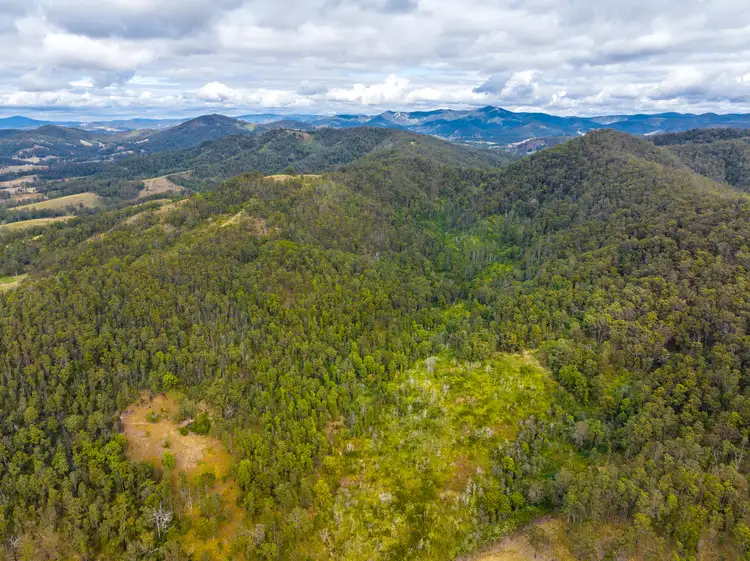 Seventh view of Homely rural property listing, 2423 Bulga Road, Bobin NSW 2429