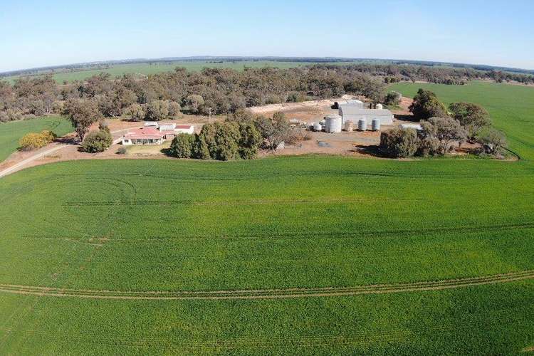 Main view of Homely cropping listing, 'Allendale' 233 Waarbilla Road, Barmedman NSW 2668