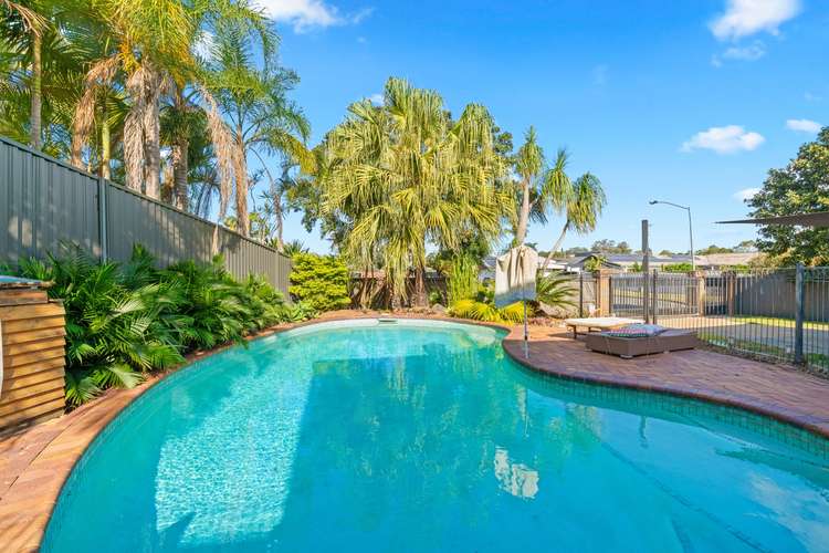 Main view of Homely house listing, 17 Myrtle Court, Palm Beach QLD 4221