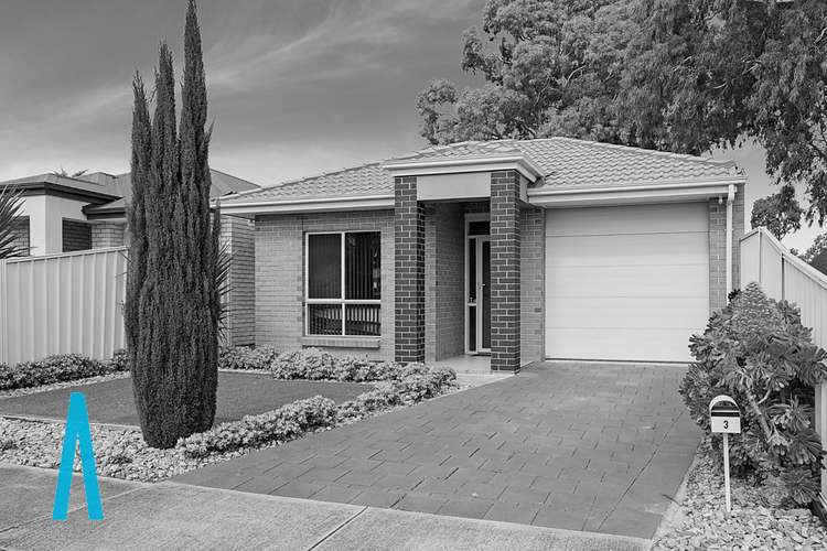 Main view of Homely house listing, 3 Harvey Avenue, Gilles Plains SA 5086