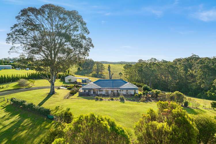 Main view of Homely house listing, 29 Albert Park Lane, Narooma NSW 2546