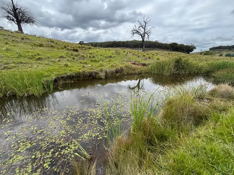 Main view of Homely rural property listing, 1016 Ullamalla Road, Mudgee NSW 2850
