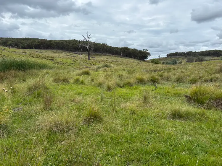 Fifth view of Homely rural property listing, 1016 Ullamalla Road, Mudgee NSW 2850