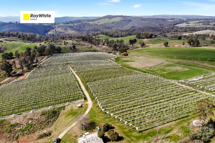Main view of Homely house listing, 396 Old Tumbarumba Road, Batlow NSW 2730