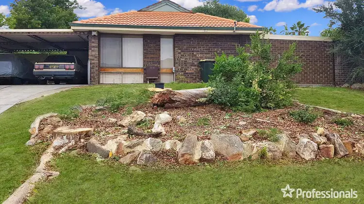 Main view of Homely house listing, 177 Camberwarra Drive, Craigie WA 6025