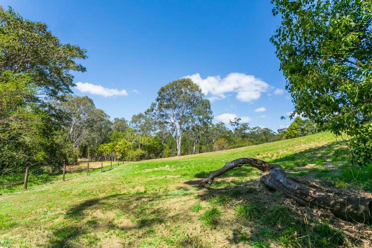 96 Lawnville Road, Black Mountain QLD 4563