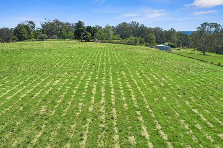 161 Vincents Road, Kurrajong NSW 2758