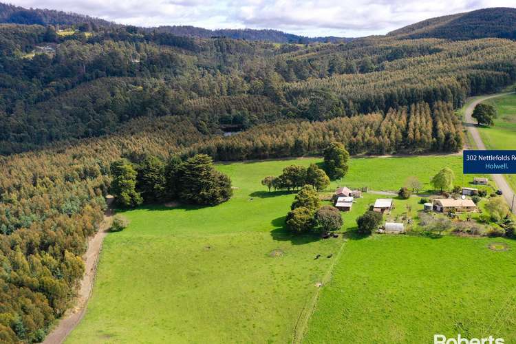 Main view of Homely house listing, 302 Nettlefolds Road, Holwell TAS 7275