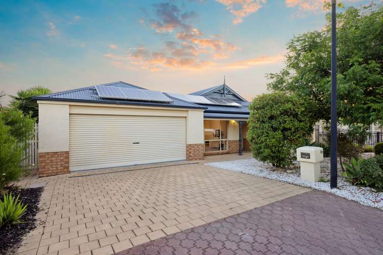 67 Folland Avenue, Lightsview SA 5085