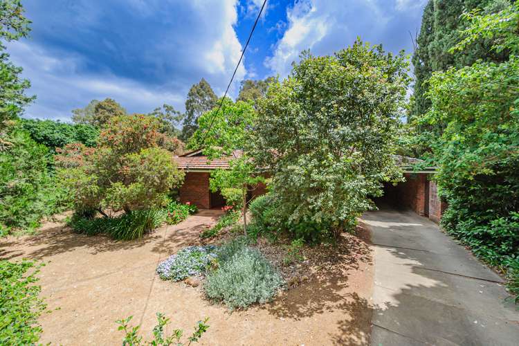 Main view of Homely house listing, 66 Orchid Drive, Roleystone WA 6111
