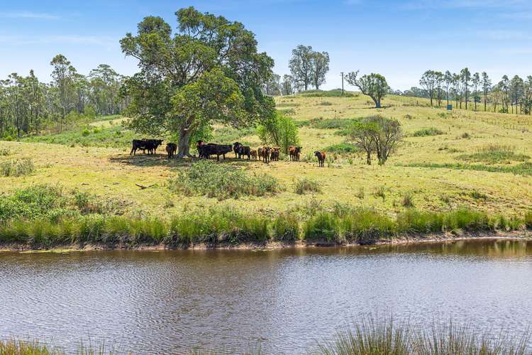 Main view of Homely residentialLand listing, Lot 30 Princes Highway, Brogo NSW 2550