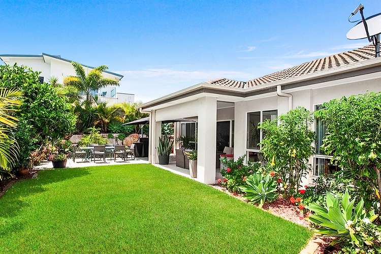 Main view of Homely house listing, 20 Corymbia Way, Molendinar QLD 4214