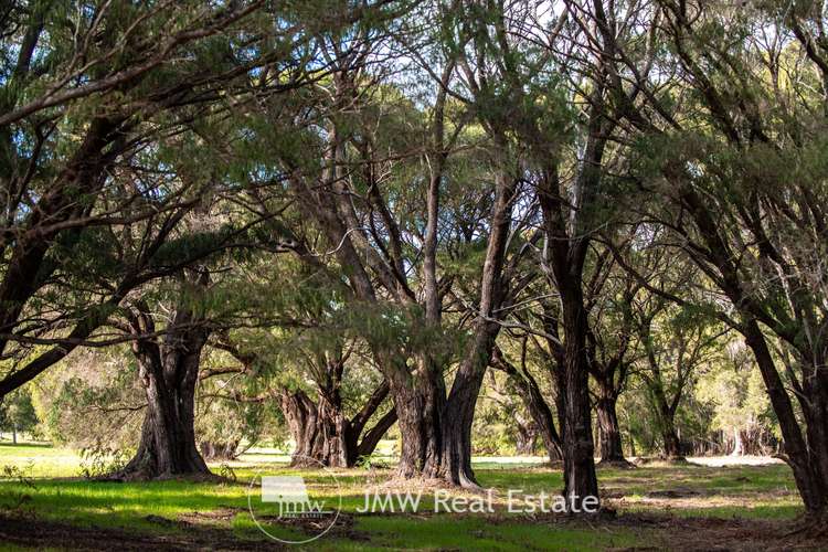 Seventh view of Homely residentialLand listing, LOT 515 Kurrajong Parkway, Witchcliffe WA 6286