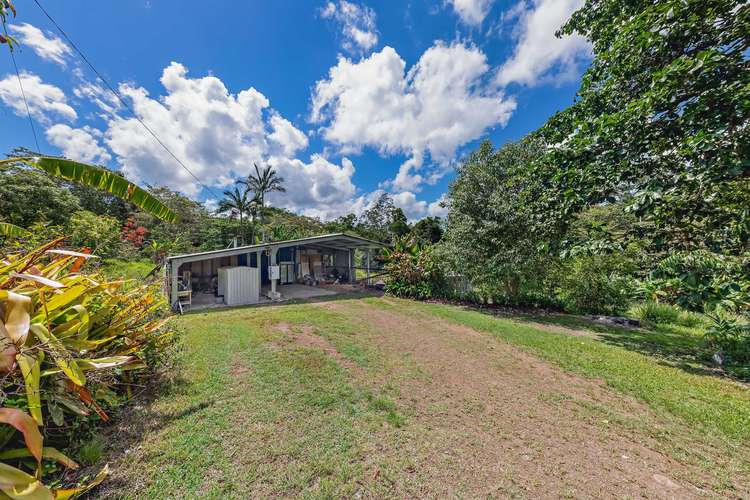 680 Saltwater Creek Road, Palm Grove QLD 4800