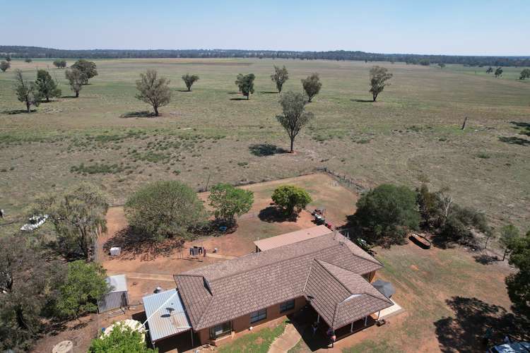 Main view of Homely house listing, 2952 Mitchell Highway, Narromine NSW 2821