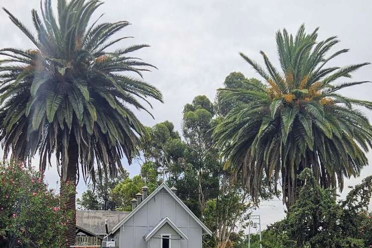 Main view of Homely house listing, 43 Pioneer Street, Manangatang VIC 3546