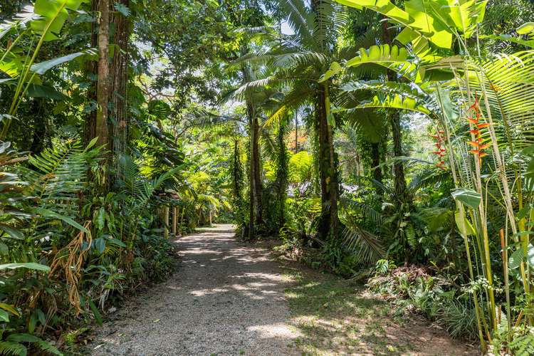 Main view of Homely house listing, 25 Hickory Road, Cow Bay, Daintree QLD 4873