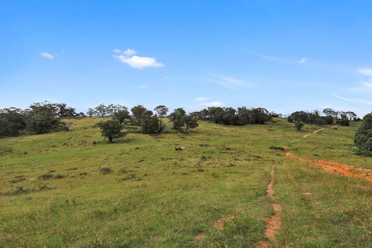 Fifth view of Homely residentialLand listing, Lot 10 in DP 1005495 Wee Jasper Road, Tumut NSW 2720