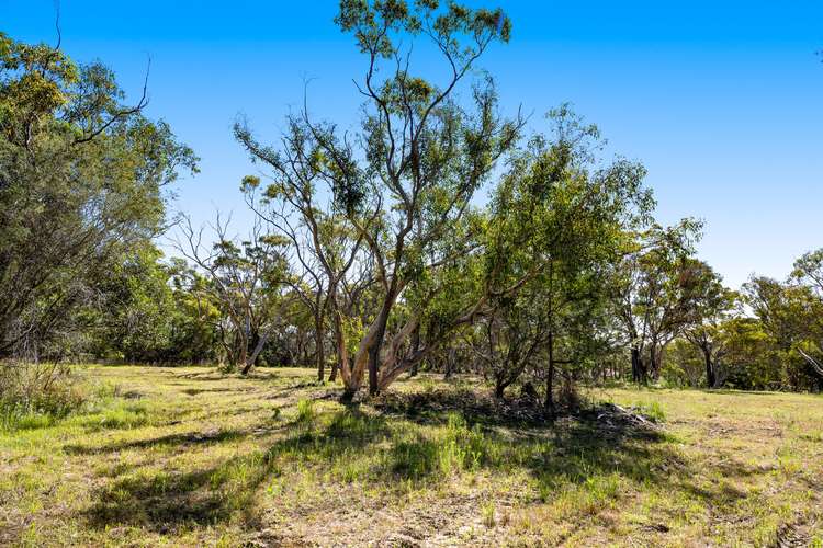 Seventh view of Homely acreageSemiRural listing, 305 Coonawarra Road, Terrey Hills NSW 2084