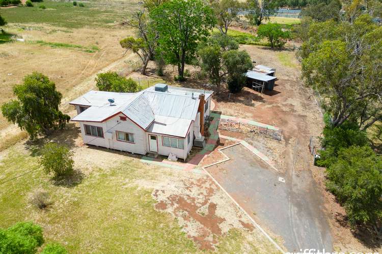 Main view of Homely house listing, 43 Todd Road, Lake Wyangan NSW 2680