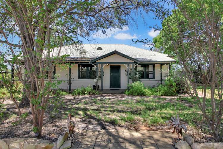 Main view of Homely house listing, 77 Chowilla street, Renmark SA 5341