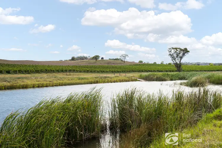 Main view of Homely rural property listing, 46 Shiraz Drive, Gulgong NSW 2852