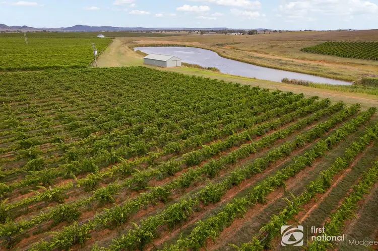 Second view of Homely rural property listing, 46 Shiraz Drive, Gulgong NSW 2852
