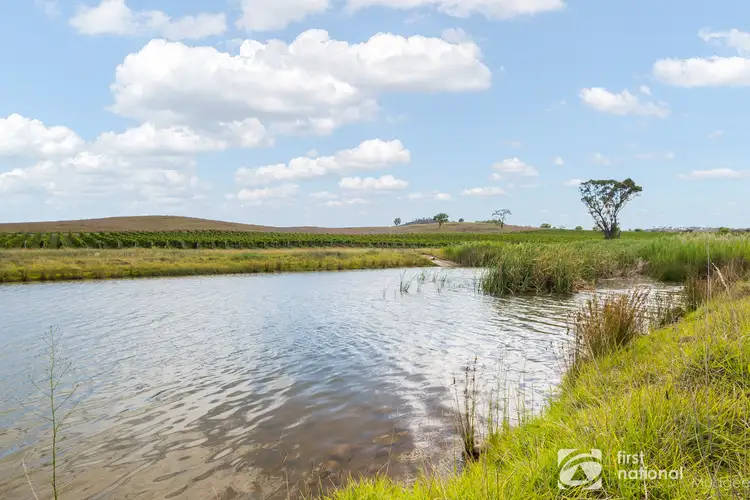 Fourth view of Homely rural property listing, 46 Shiraz Drive, Gulgong NSW 2852