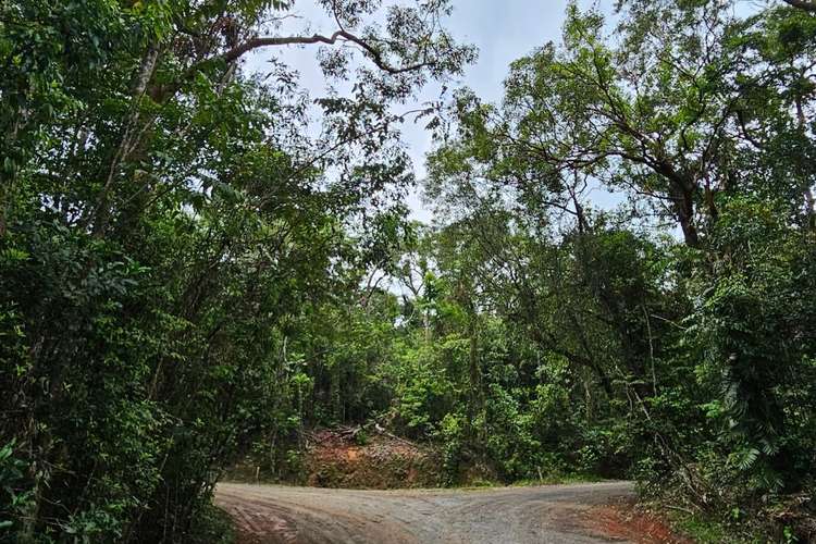 Main view of Homely residentialLand listing, Lot 232 White Beech Road, Cow Bay, Daintree QLD 4873