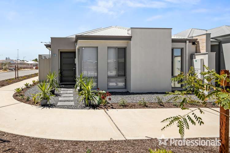 Main view of Homely house listing, 14 Hooded Chase, Alkimos WA 6038