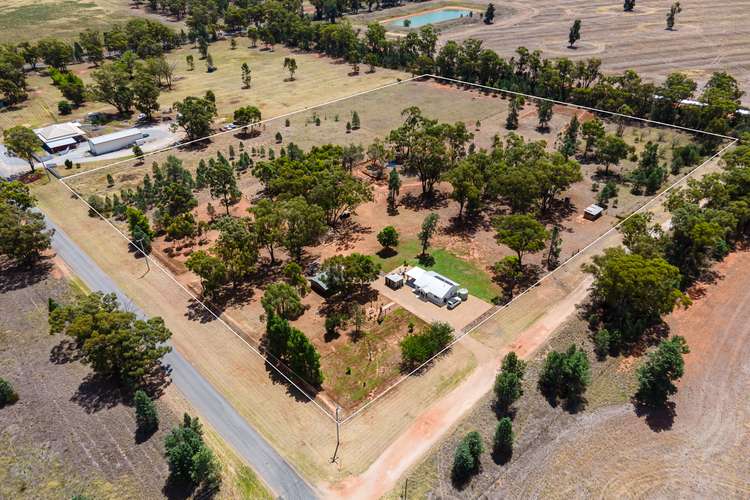 Main view of Homely acreageSemiRural listing, 13 Rees Street, Ariah Park NSW 2665