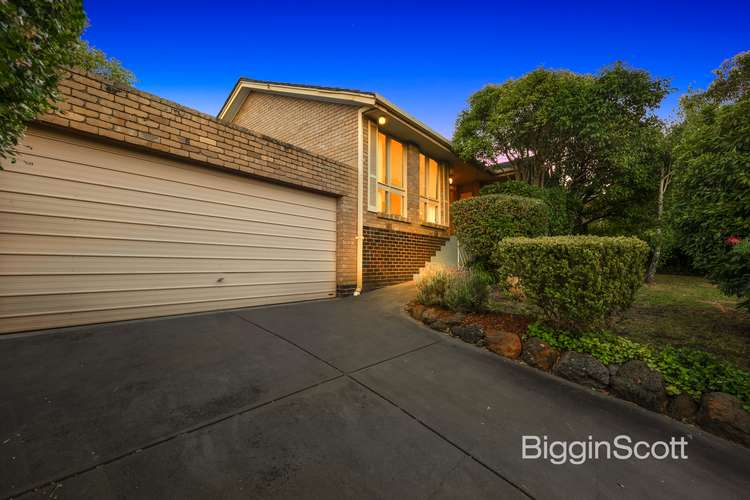 Main view of Homely house listing, 16 Tracey Drive, Vermont South VIC 3133